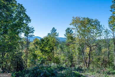 3875 Hwy 140 NE, Rydal, GA 30171 - photo 6