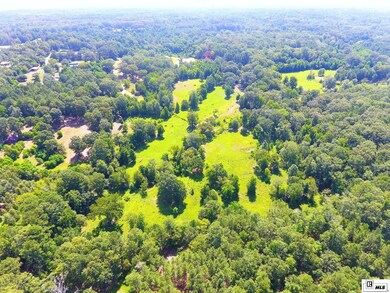 226 Carter Rd, Calhoun, LA 71225 - photo 5