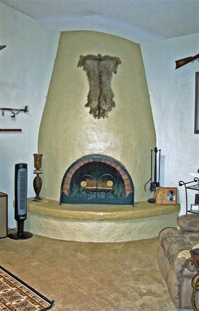 Bee Hive Wood Burning Fireplace