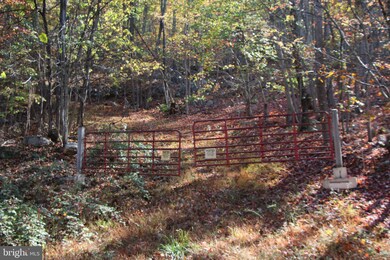 0 Cedar Rd, Strasburg, VA 22657 - photo 4