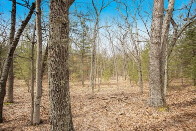 220419 1.00pm Dodge Vacant Land 60t Phot