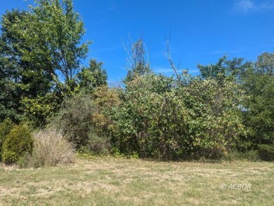Wooded lot