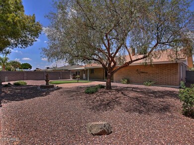 Large backyard