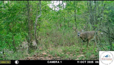 451 Tavern Creek Rd, Iberia, MO 65486 - photo 3