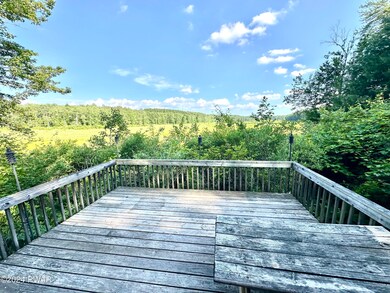 98 Davitt Rd, Honesdale, PA 18431 - photo 4