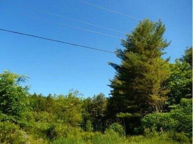 0 Route # 124~buckfield Rd unit 1141549, Hebron, ME 04238 - photo 2