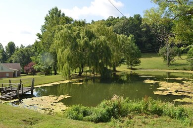 251 Marsh Creek Rd, Linden, TN 37096 - photo 5