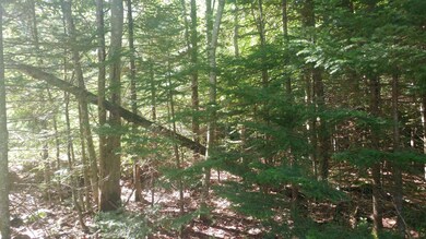 Lot 9 Hopper Rd, Acton, ME 04001 - photo 5