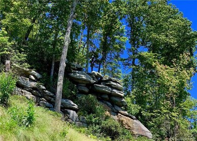 e4 Marble Ct unit Estates 4, Hendersonville, NC 28792 - photo 5