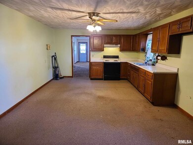 2059 Lair Rd, Ashland, IL 62612 - photo 4