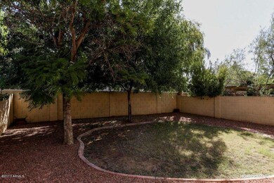 HR - Backyard #5