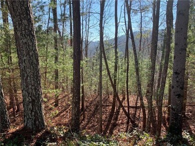 View of local wilderness