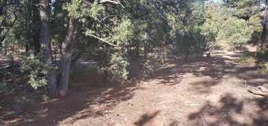 4260 W Falling Leaf Road