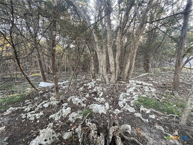 15723 Salado Dr, Temple, TX 76502 - photo 7