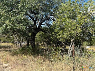 0 City Rd unit 596479, Lometa, TX 76853 - photo 4