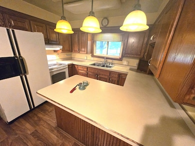 8700 S Hemlock Rd, Saint Charles, MI 48655 - photo 4