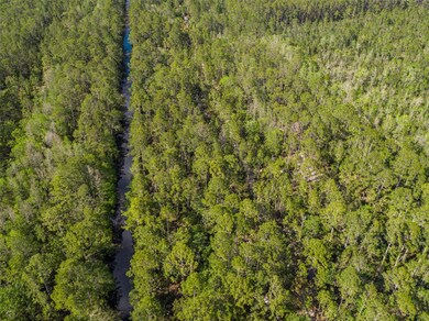 0 12th Ave unit MFRT3503635, Deland, FL 32724 - photo 5