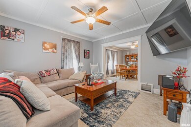 216 Wyatt Ave, Lincoln, IL 62656 - photo 3