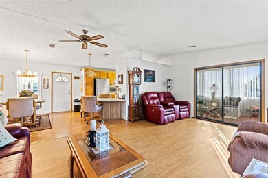 4907 Blanco Dr, Zephyrhills, FL 33541 - photo 7