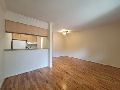 1530 Heights Blvd unit 17, Houston, TX 77008 - photo 3
