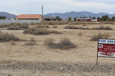 3540 Rebel Ave, Pahrump, NV 89048 - photo 5