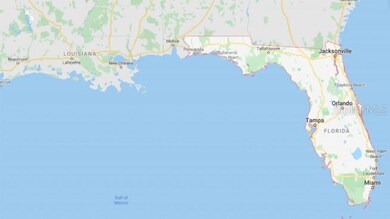 0 Dill Rd unit MFRO6233802, Orlando, FL 32820 - photo 5