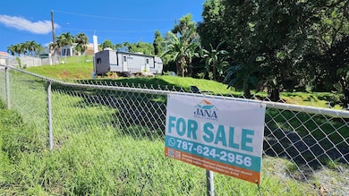 0 Paseo Central, San Sebastian, PR 00685 - photo 4