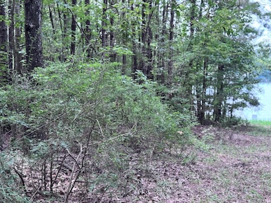 8 Abby Ln, Lumberton, MS 39455 - photo 6