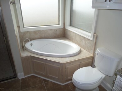 104 Hazy Master Bath 3 040616