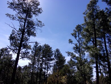 Beautiful land 2160 Pine Grove Drive