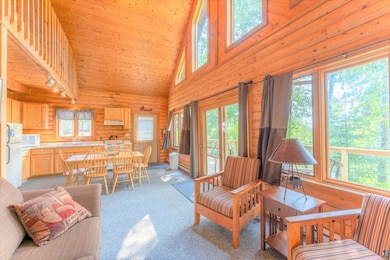 Carpeted living room with plenty of natural light,