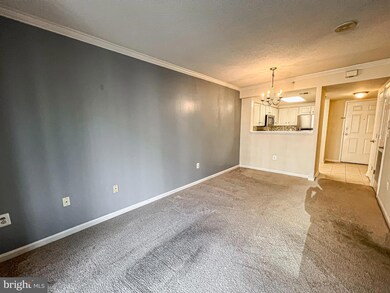 3835 9th St N unit 608W, Arlington, VA 22203 - photo 5