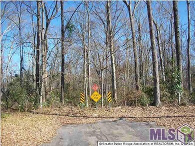 Rear entry to property - begins where St. Ann Stre