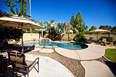 Incredible Backyard