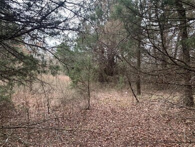 TBD Isbon- Tract 1, Whitesboro, TX 76273 - photo 7