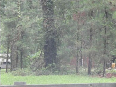 232 Mathes Rd, Doyline, LA 71023 - photo 4