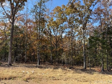 42 Summer Sky Dr, Greenbrier, AR 72058 - photo 2