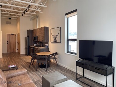 515 W Aspen St unit 323, Bozeman, MT 59715 - photo 5