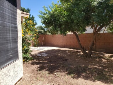 backyard42020