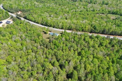 9582 Tennessee 13, Linden, TN 37096 - photo 4