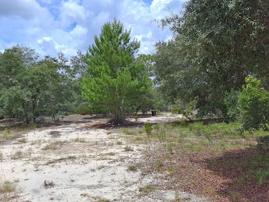 0 SW Kerria Ct unit 795440, Dunnellon, FL 34431 - photo 3