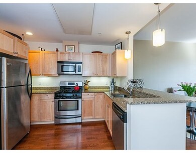 113 Richdale Ave unit 33, Cambridge, MA 02140 - photo 2