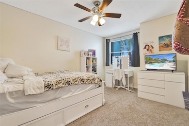 3 BEDROOM LL BEDROOMS LARGE