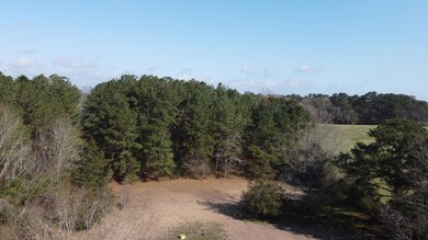 DJI_0242