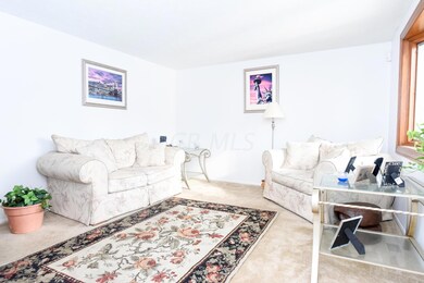 Large Living Room