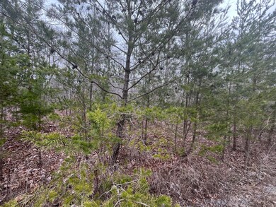 0 Maple Dr unit 20251539, Pikeville, TN 37367 - photo 2