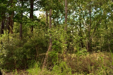 0 Cherry Hill Rd unit 25023693, Hollywood, SC 29449 - photo 4