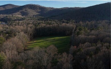 751 Kennemur Rd, Ellijay, GA 30536 - photo 3