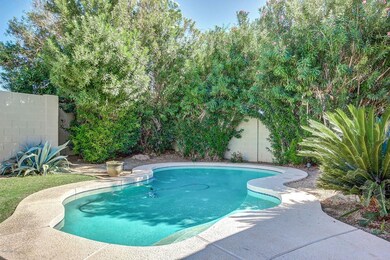 sparkling pool