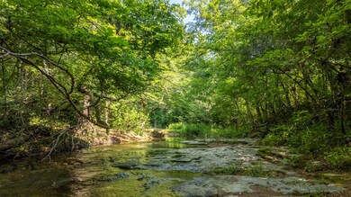 Land for sale in the Ozarks2